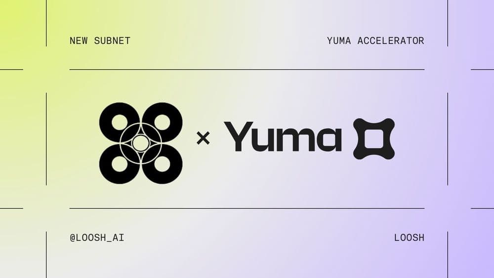 Yuma has accelerated its own subnet: Loosh (SN78)