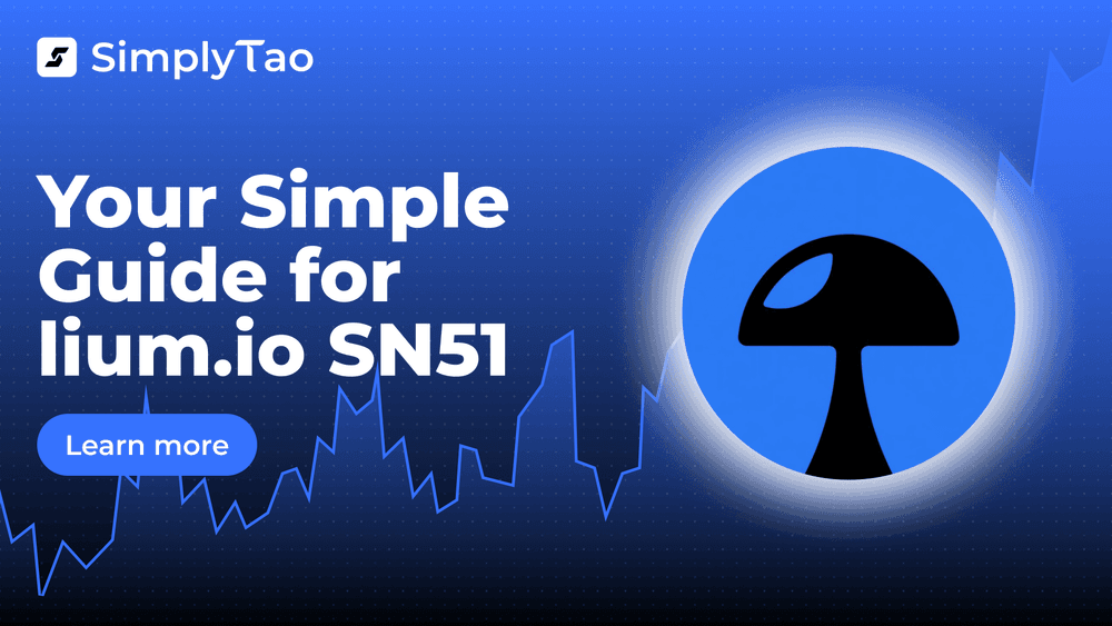 Your Simple Guide to lium.io (SN51)